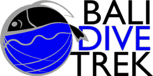 logo dive center