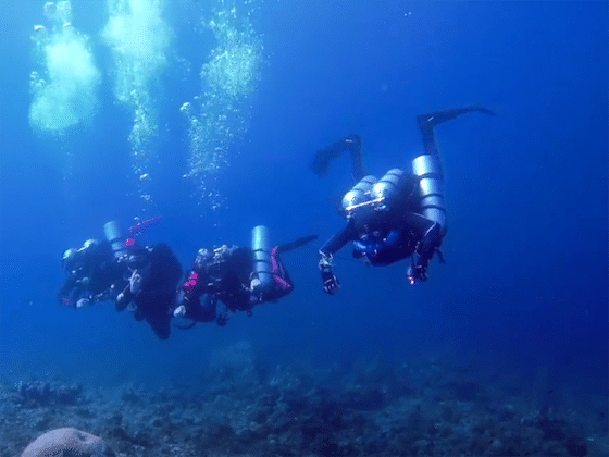 triton twin Bali Dive Trek 