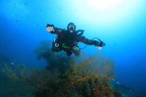 xdeep sidewinder