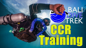 CCR training