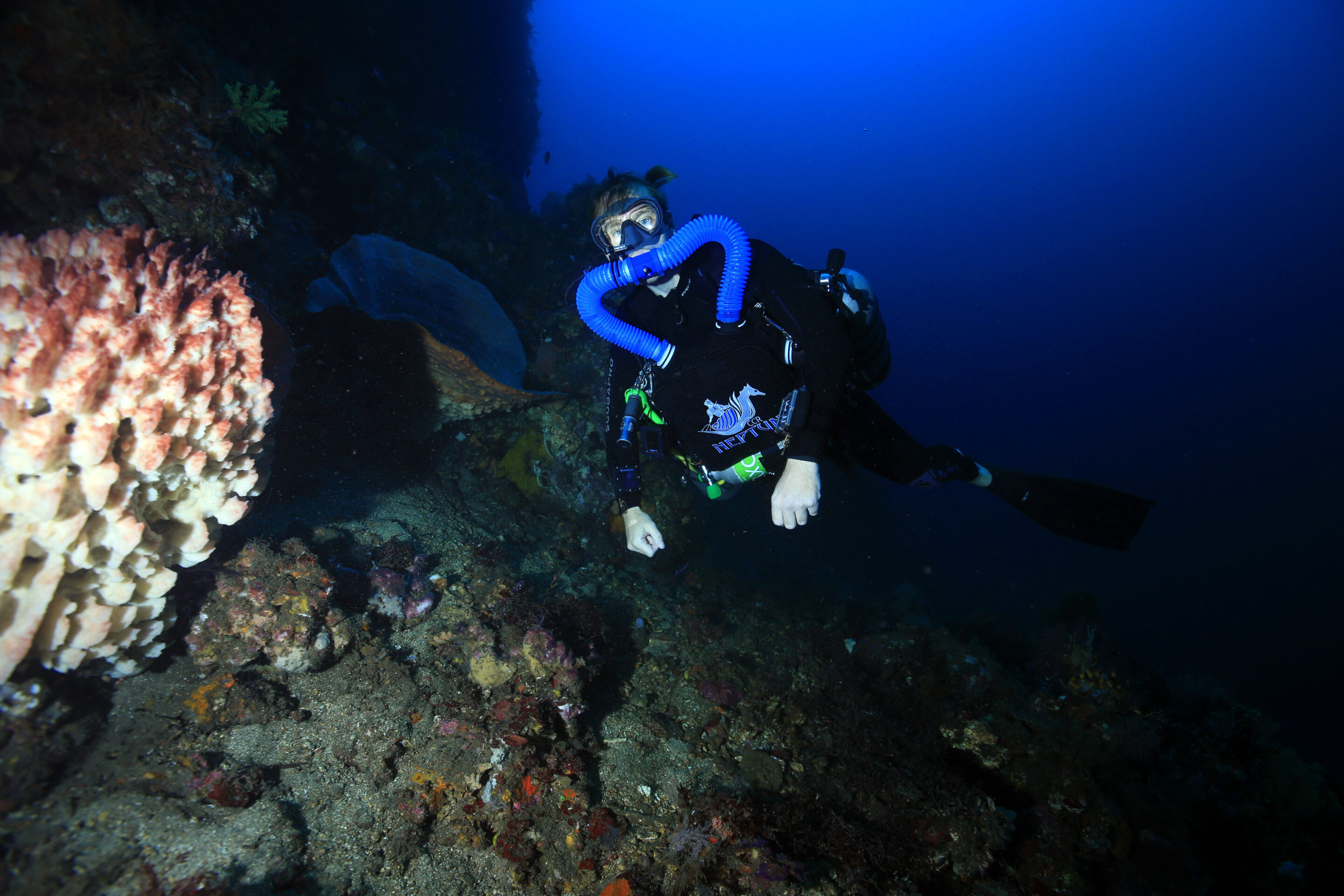 Recreational CCR Diver (30m)