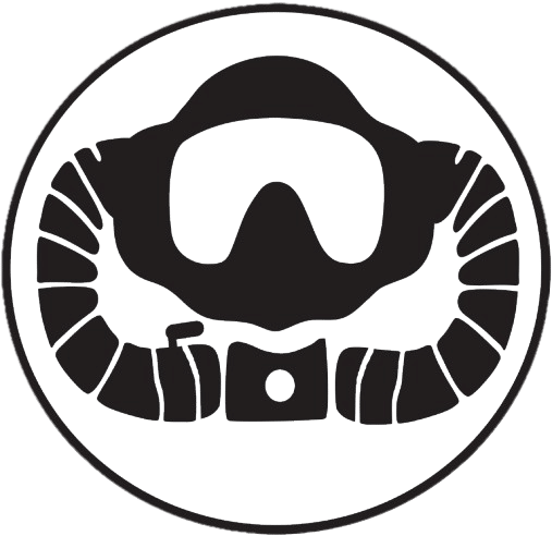 SSI CCR